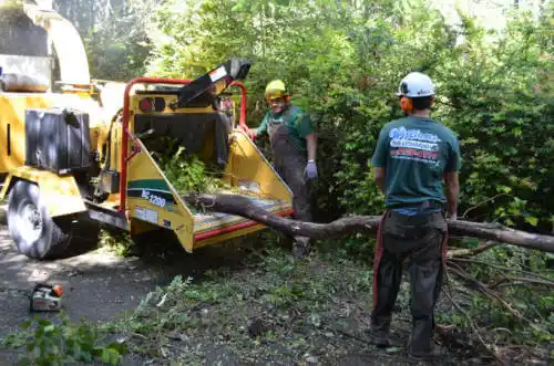 tree services Lennox